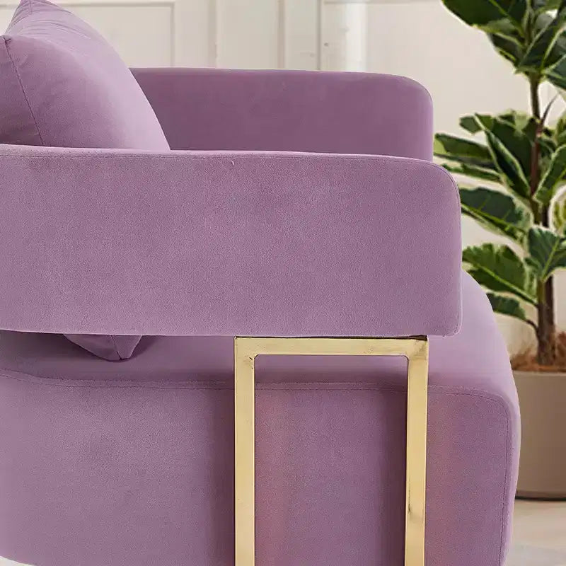 Set of 2 Modern Upholstered Accent Chairs with Gold Metal Legs for Living Room, Bedroom, or Office